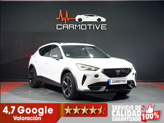 Cupra Formentor 2.0 TDI 110kW 150 CV
